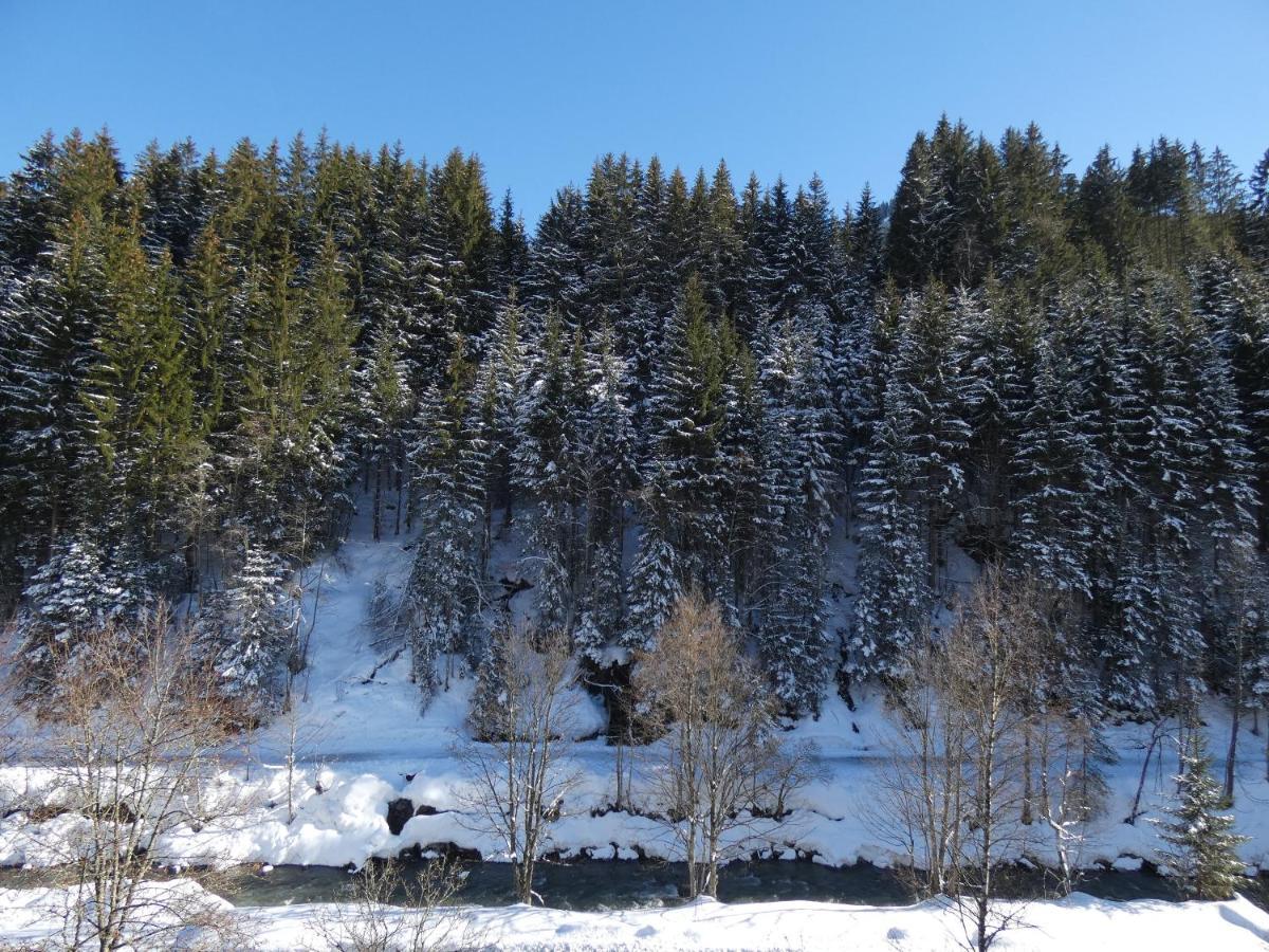 Alpenappartements Domicil By Hermann Weiss Saalbach-Hinterglemm Luaran gambar